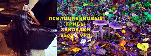 ГАЛЛЮЦИНОГЕННЫЕ ГРИБЫ Белоозёрский