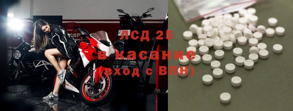ГАЛЛЮЦИНОГЕННЫЕ ГРИБЫ Белоозёрский