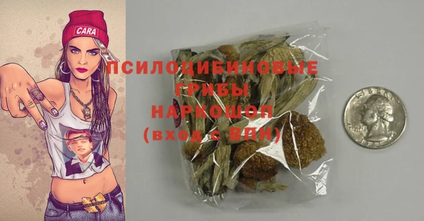 ГАЛЛЮЦИНОГЕННЫЕ ГРИБЫ Белоозёрский